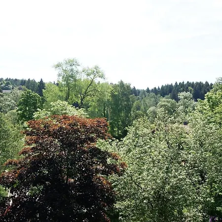 Ferienwohnung Luchs - #55002 Apartament *